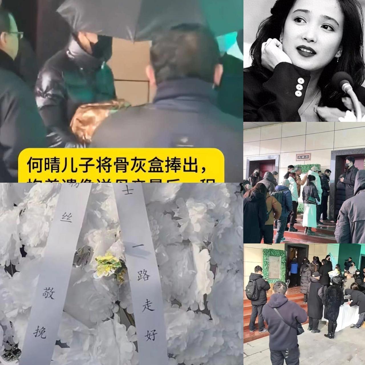 何晴葬礼举行！
儿子手捧骨灰，
遗像曝光惹泪目，廖京生现身送别！

雪落无声送别