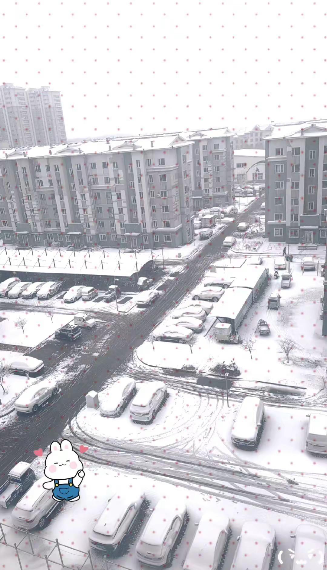 盘锦这是咋的了，春天当冬天过呢，三月中旬还下这么大雪！！！