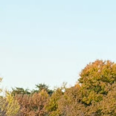 0000信任，是冬日的一缕阳光，使饥寒交迫的人感到温暖和芳香；信任，使沙漠的一口