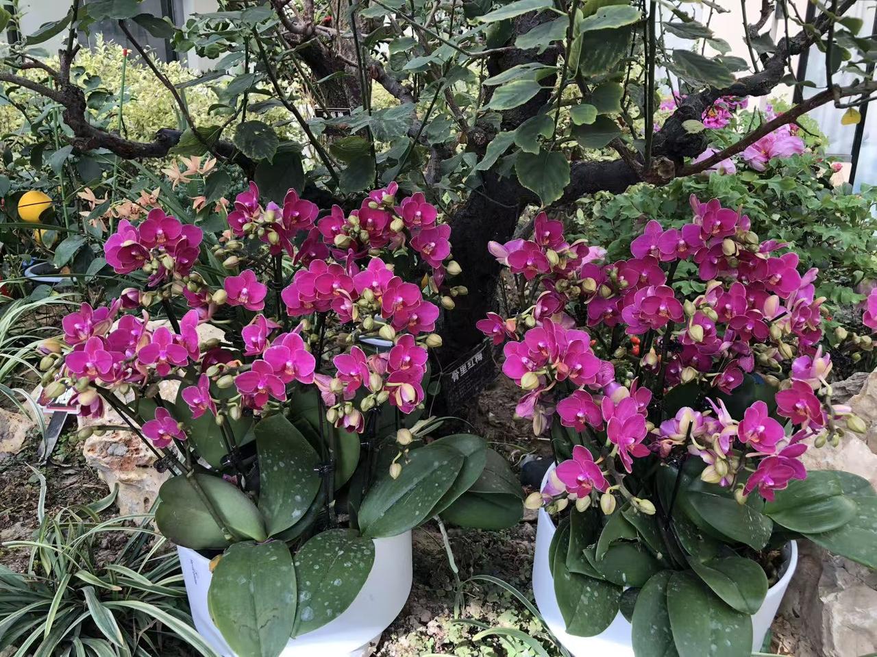 晒图笔记大赛景山公园