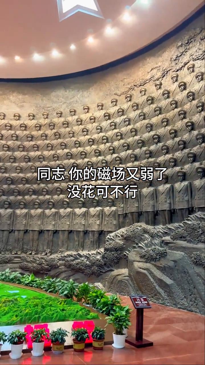 同志你的磁场又弱了，没花可不行。