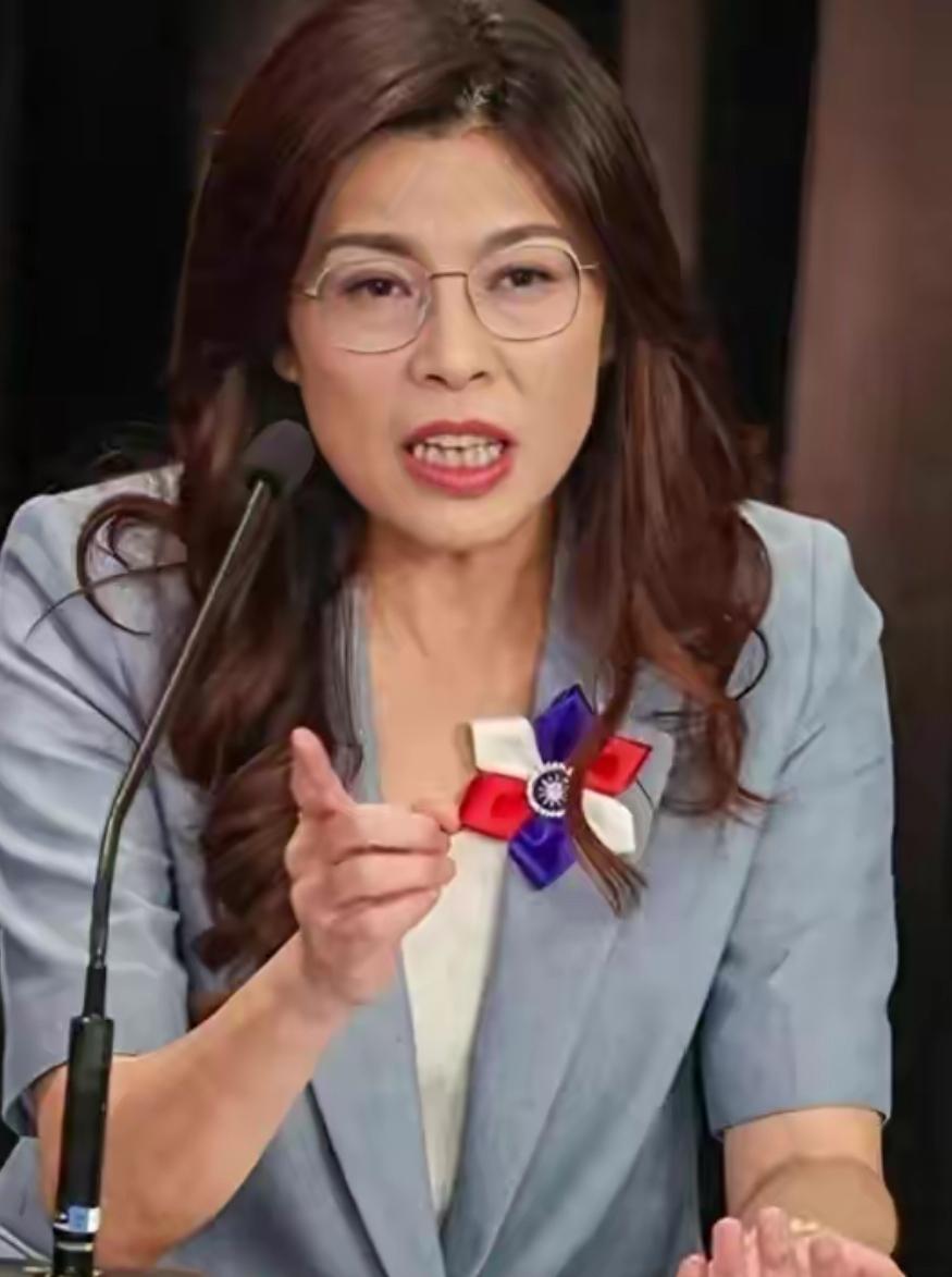 闭门会谈后，郑丽文提出台岛想要国际空间
 
4月10号的重要会谈有一个小时左右的