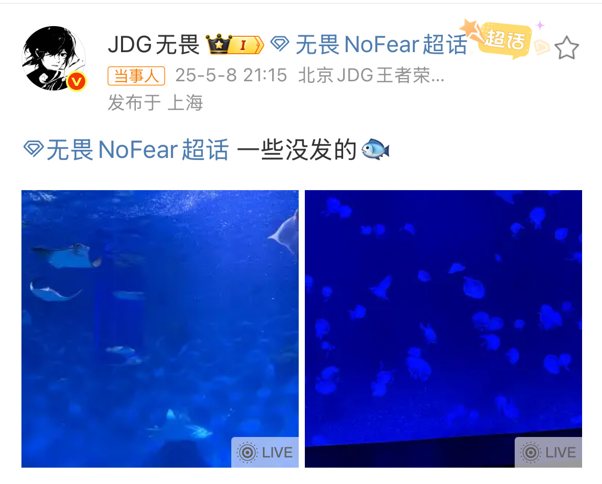 无畏探索海洋馆无畏探索海洋馆呀！这个很不错呀！ ​​​