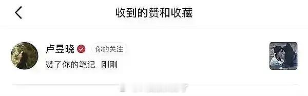 卢昱晓点赞了她和檀健次的CP视频，她经常点赞和CP的视频吧？点赞多了等于没有点过
