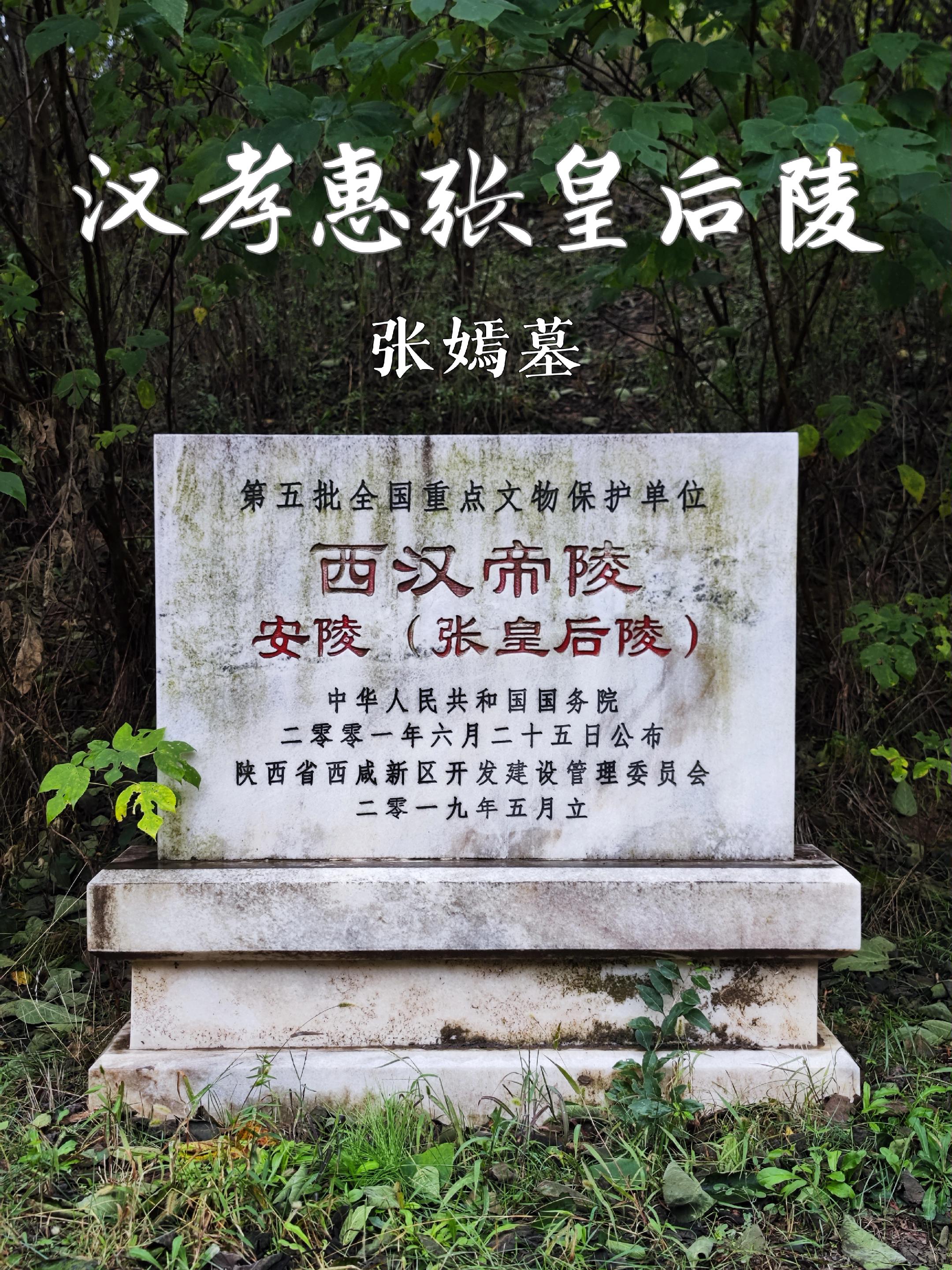 张嫣（前202年―前163年），宣平侯张敖与鲁元公主的女儿，汉惠帝刘盈...