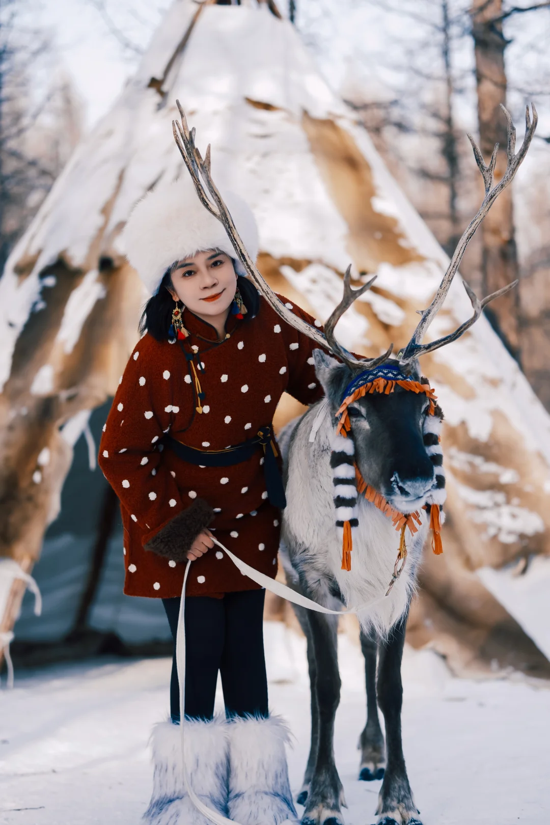 根河敖麓谷雅的驯鹿太好拍了