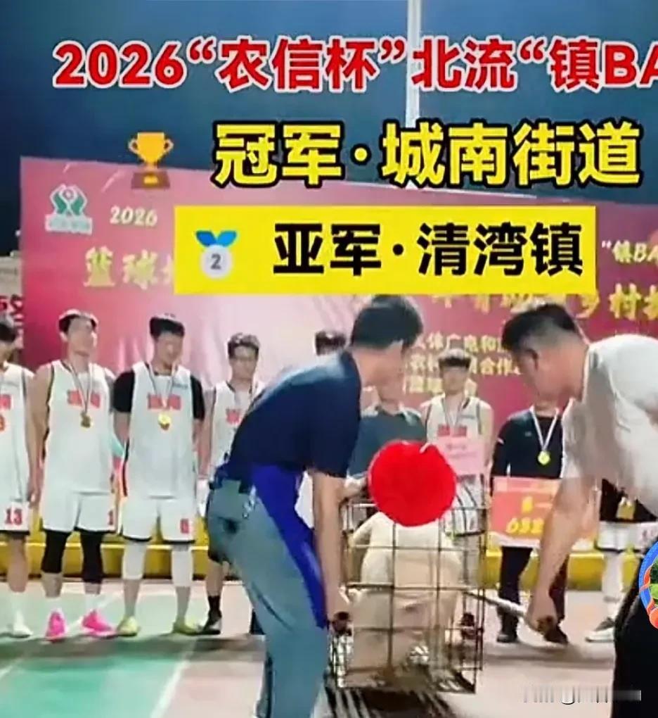 2026“农信杯”北流“镇BA”
🏆 冠军·城南街道
🥈 亚军·清湾镇
🥉