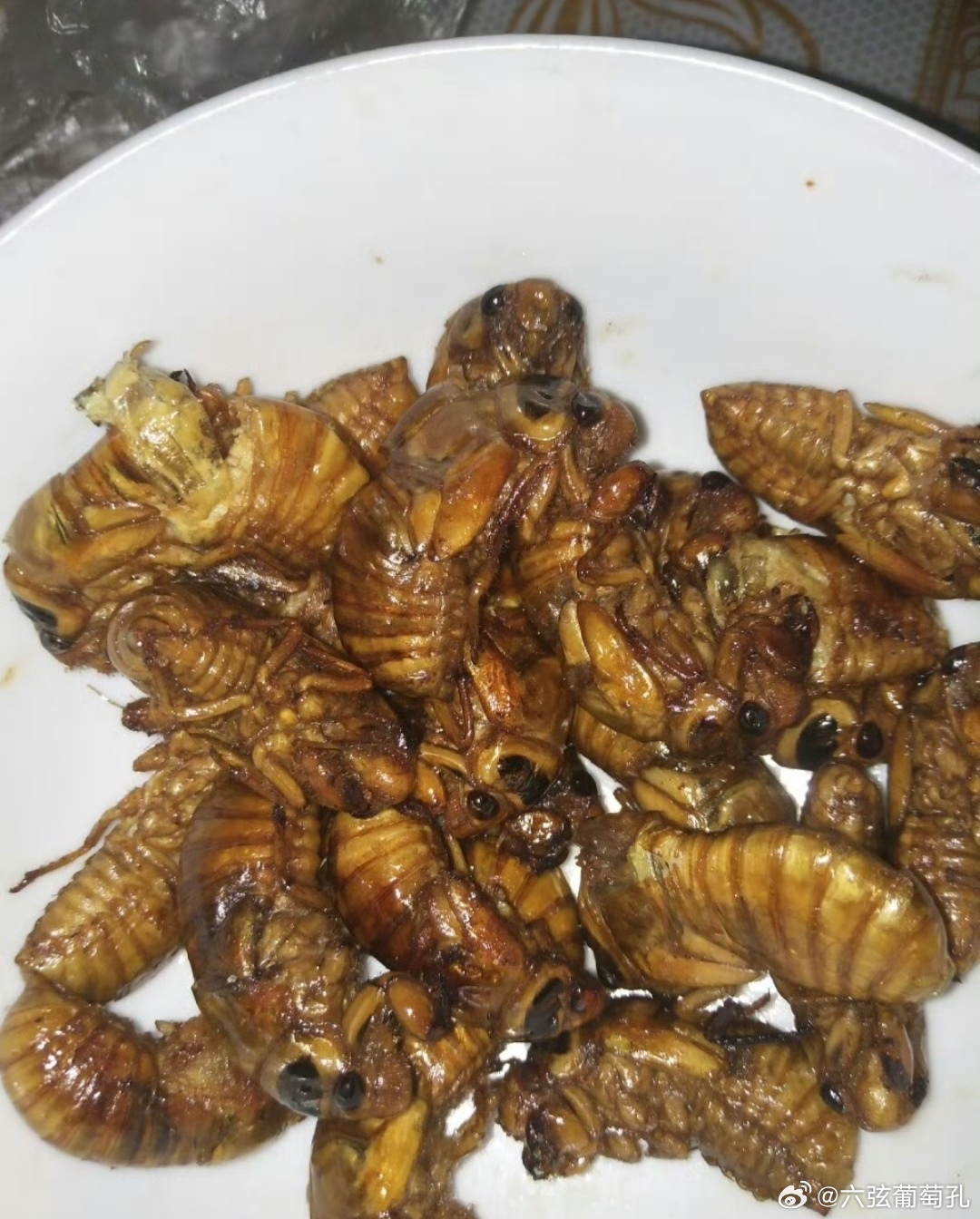 吃这东东的季节到了，图片为库存今年一顿还没捞着吃呢，馋了 可惜胃不舒服，怕消化不