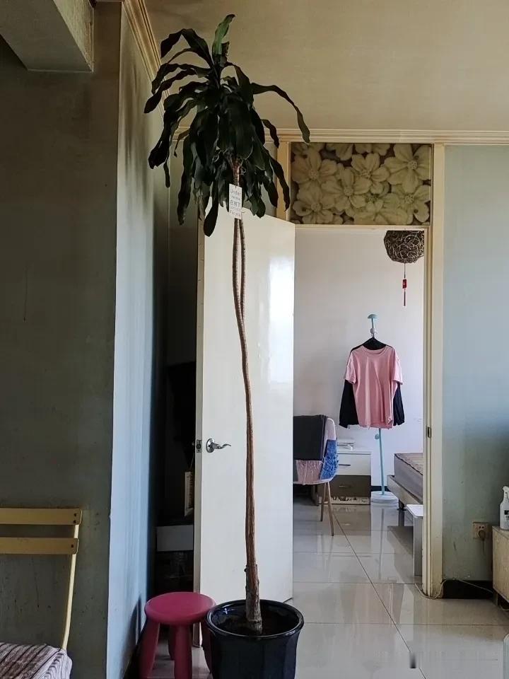 免费，让人忘了成本
付出，才叫人衡量价值
当你的善意开始标注心理价位
世界才会认