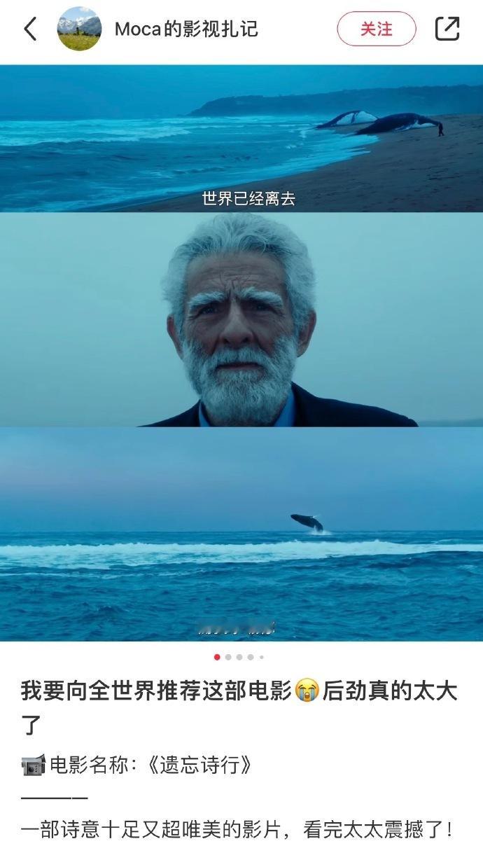 绝了啊啊啊😭这几部宝藏电影🎬看完真的后劲太大了‼️ 