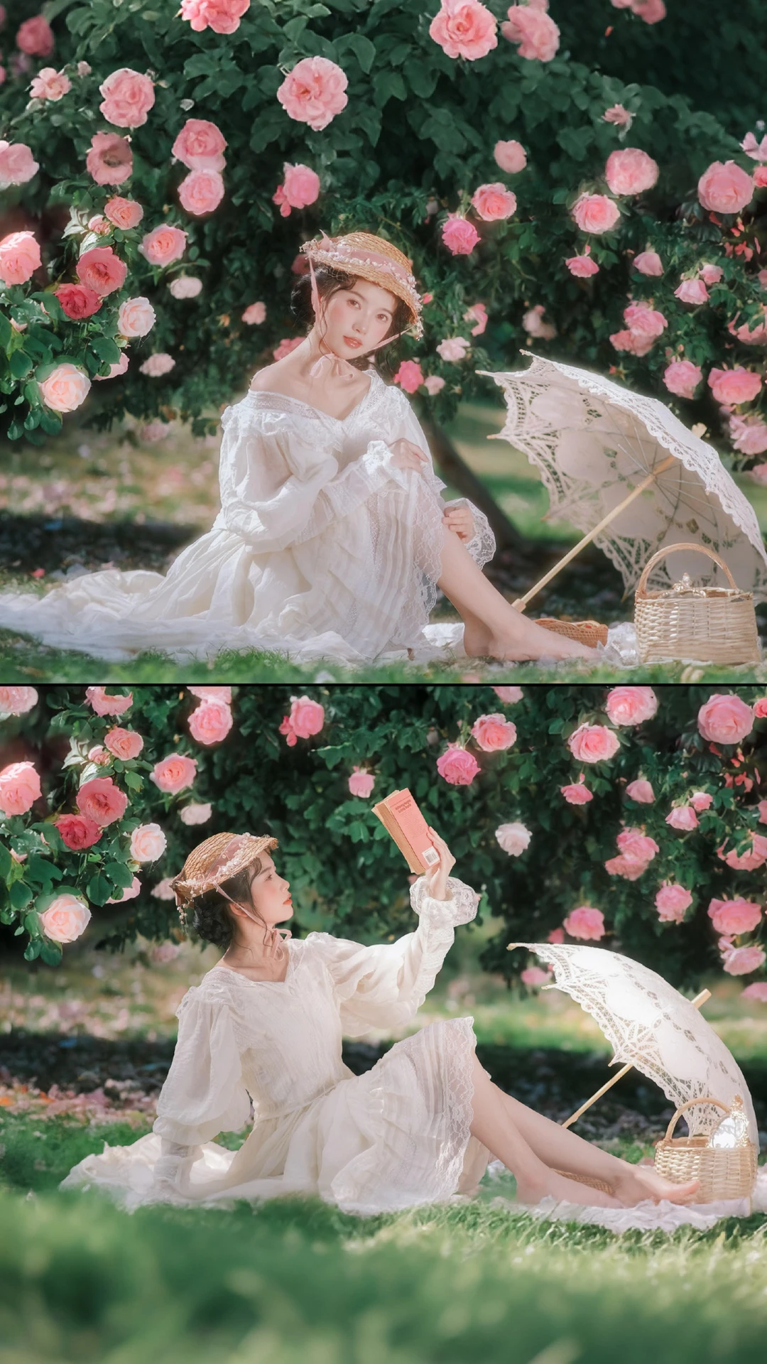一大波玫瑰花开爆啦🌸快去拍！