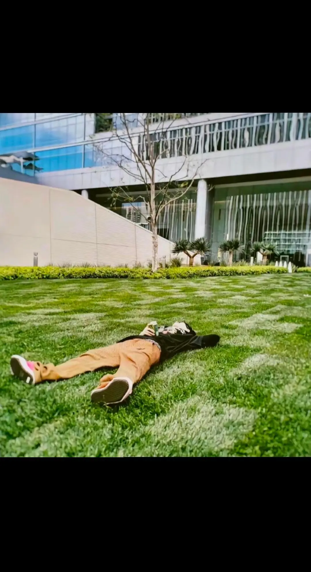 等你读懂我的鱿鱼  我已经被做成铁板烧了。