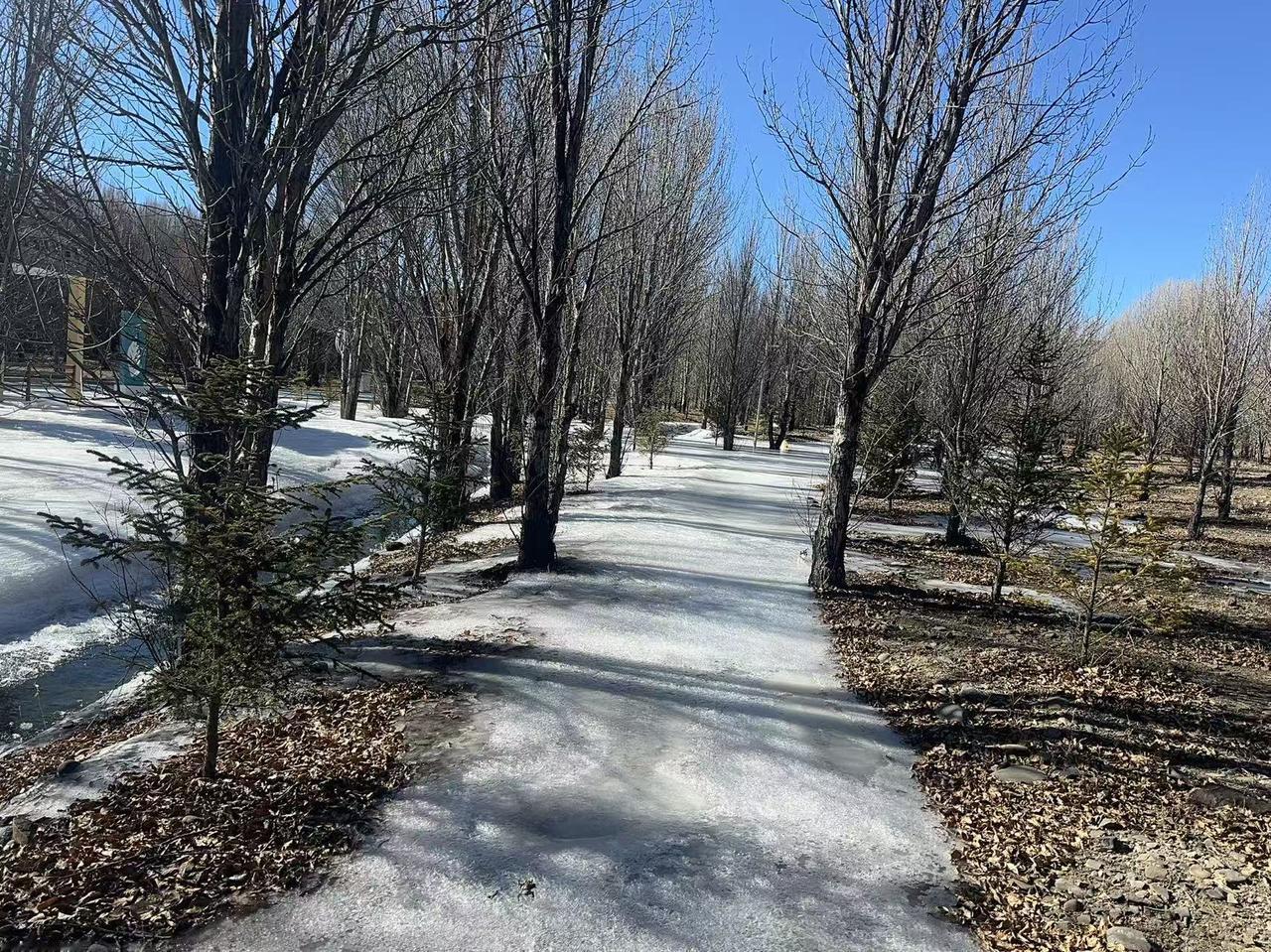 冬日生活打卡季