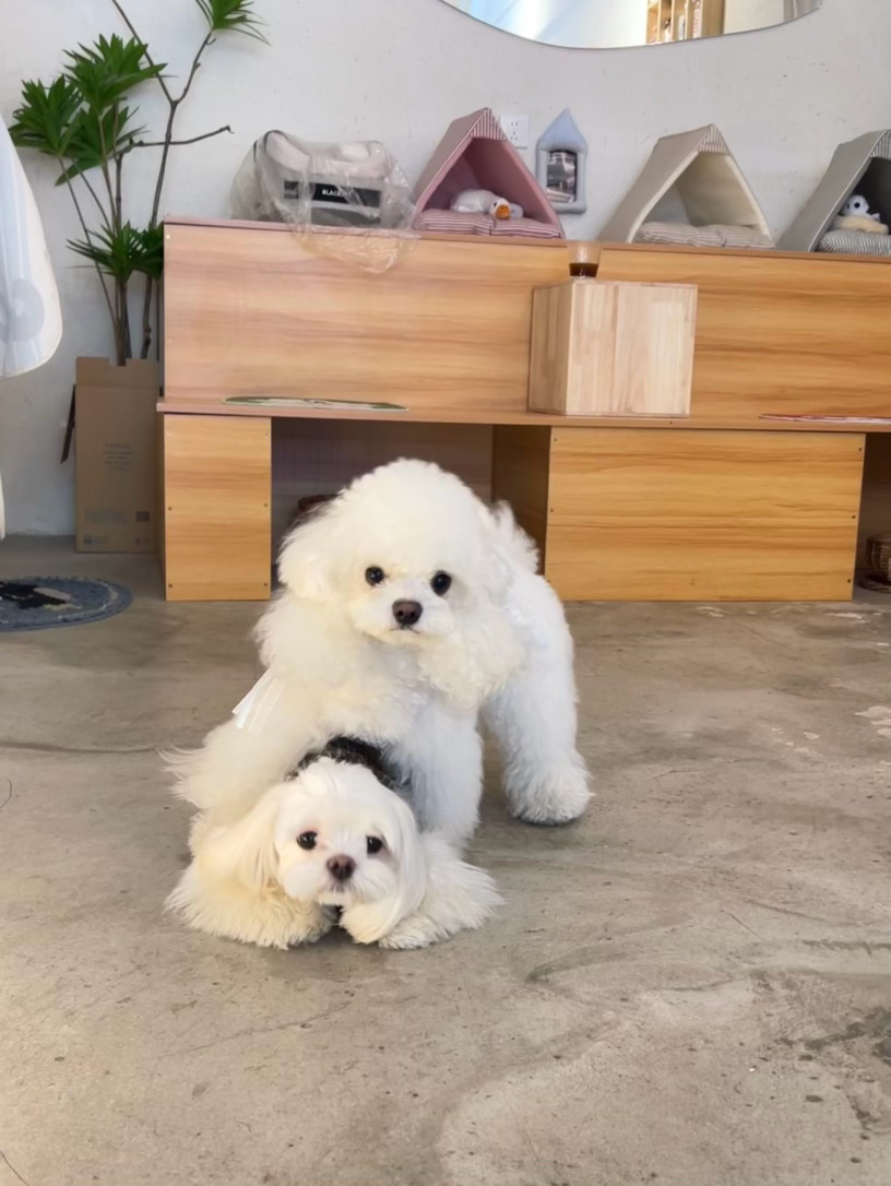 我是子涵妈妈，我家孩子能当童模吗？ 