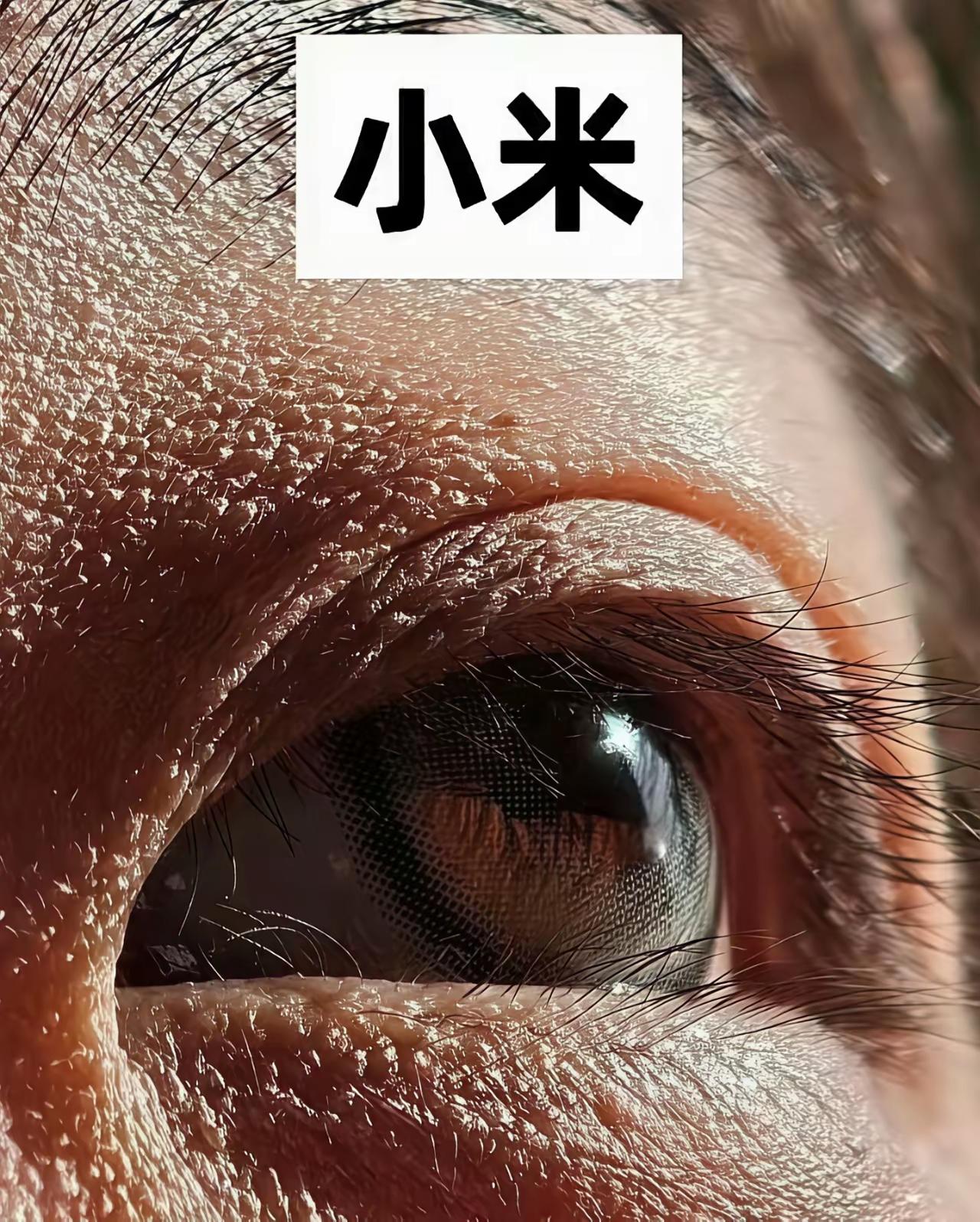 高考结束了
好为难
不知道买什么牌子的手机才好呢？