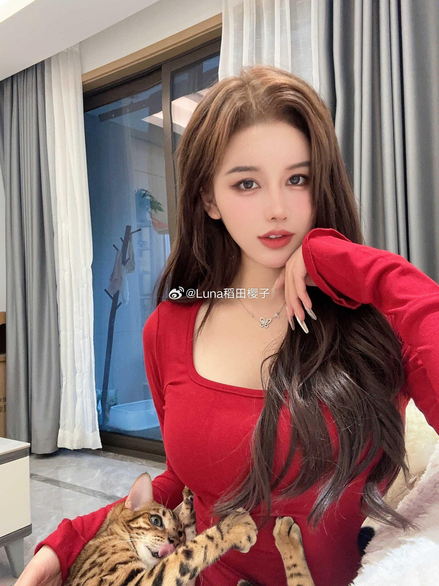 进军娱乐一下～小猫咪咬人啦[馋嘴][馋嘴][爱你] ​​​