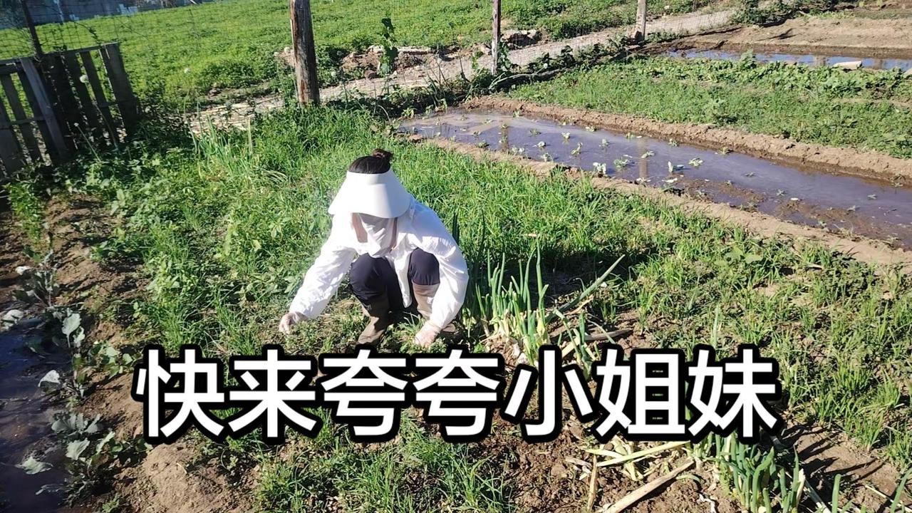 发了半天0点赞
