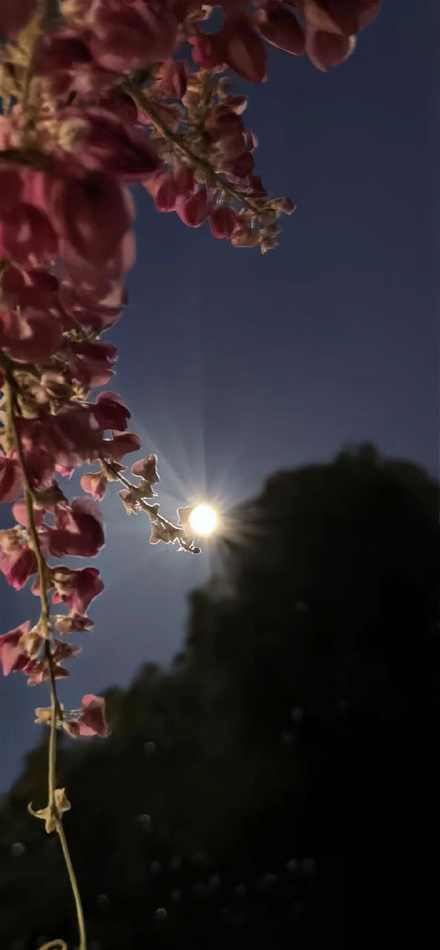 18岁时看月亮，月亮是远方“海上生明月，天涯共此时。” 当你 30 岁时看月亮，