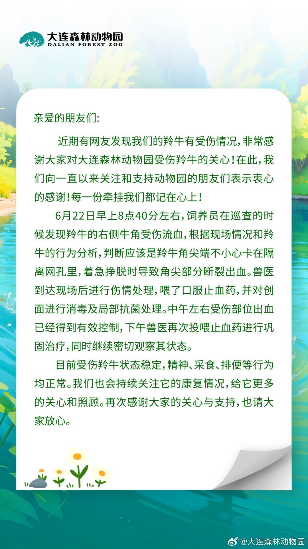 【#大连森林动物园受伤羚牛状态稳定#】#满脸血羚牛受伤部位出血已得到控制#：近期