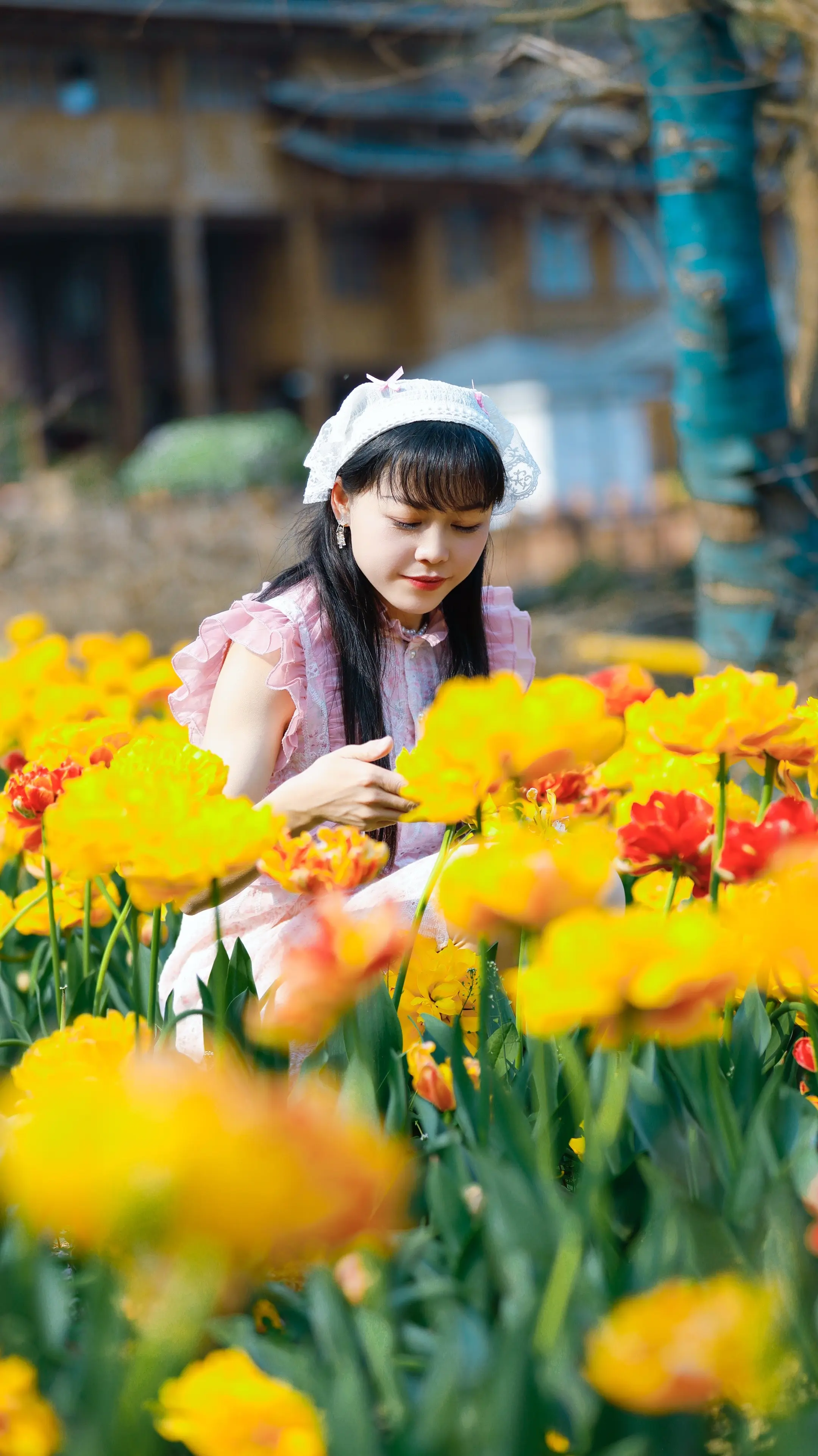 郁金香🌷