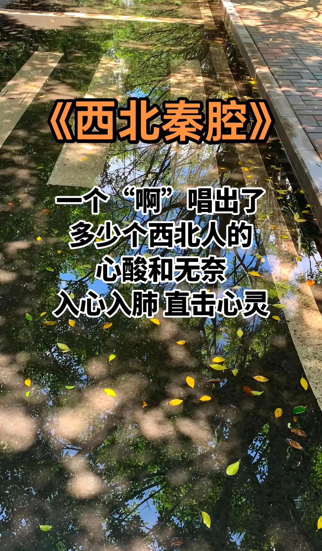 秦腔秦韵 秦腔西北 秦腔名家名
