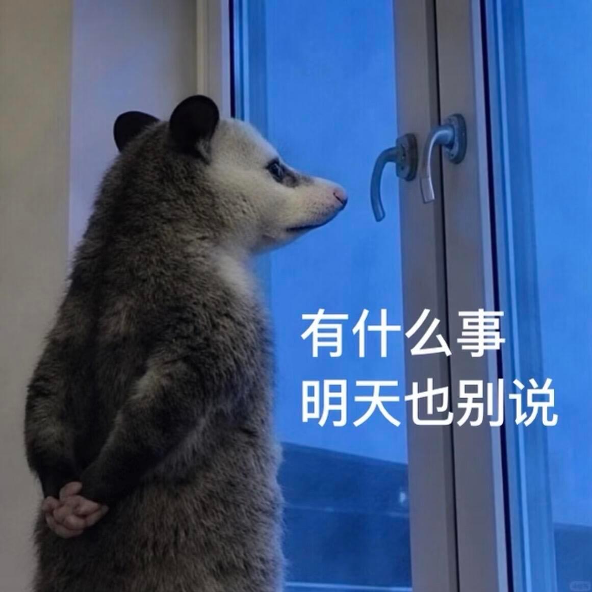 前同事离职忘记删聊天记录好社死哦，万一在背后蛐蛐过人家不是更尴尬 