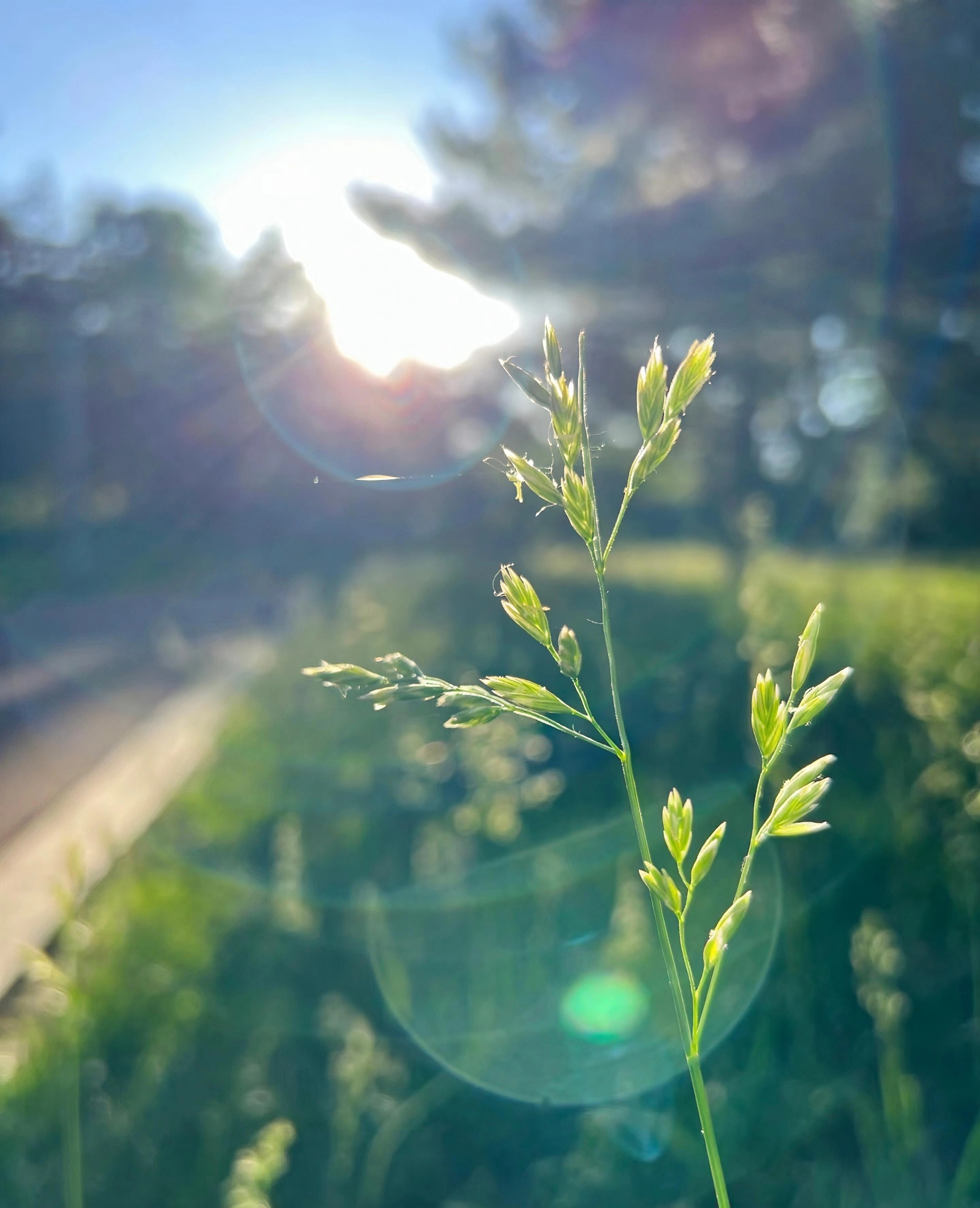 7月你好，愿好运常伴，好事发生。