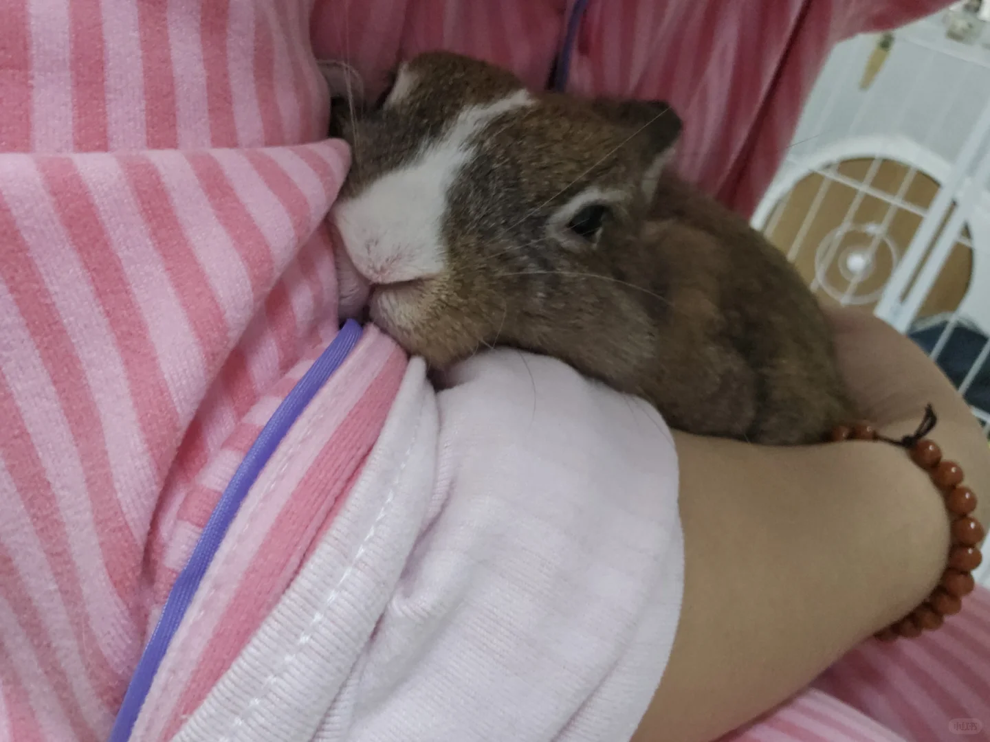 这和我生的有什么区别！