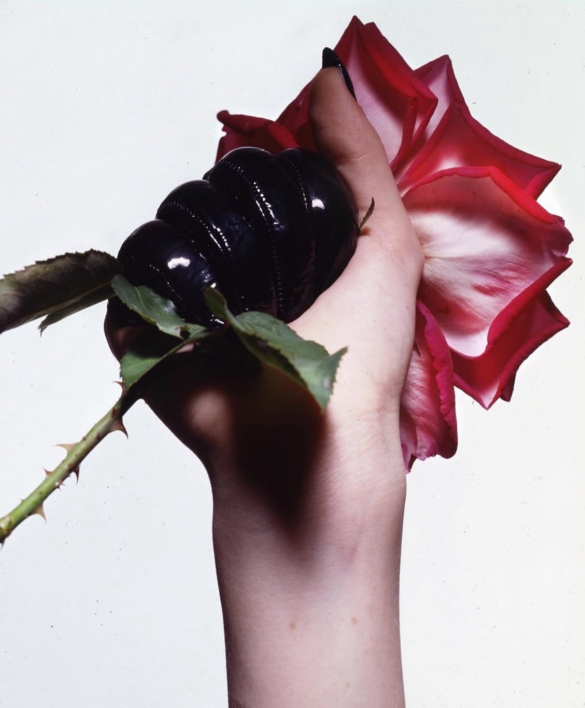Donna Trope🥀 ​​​