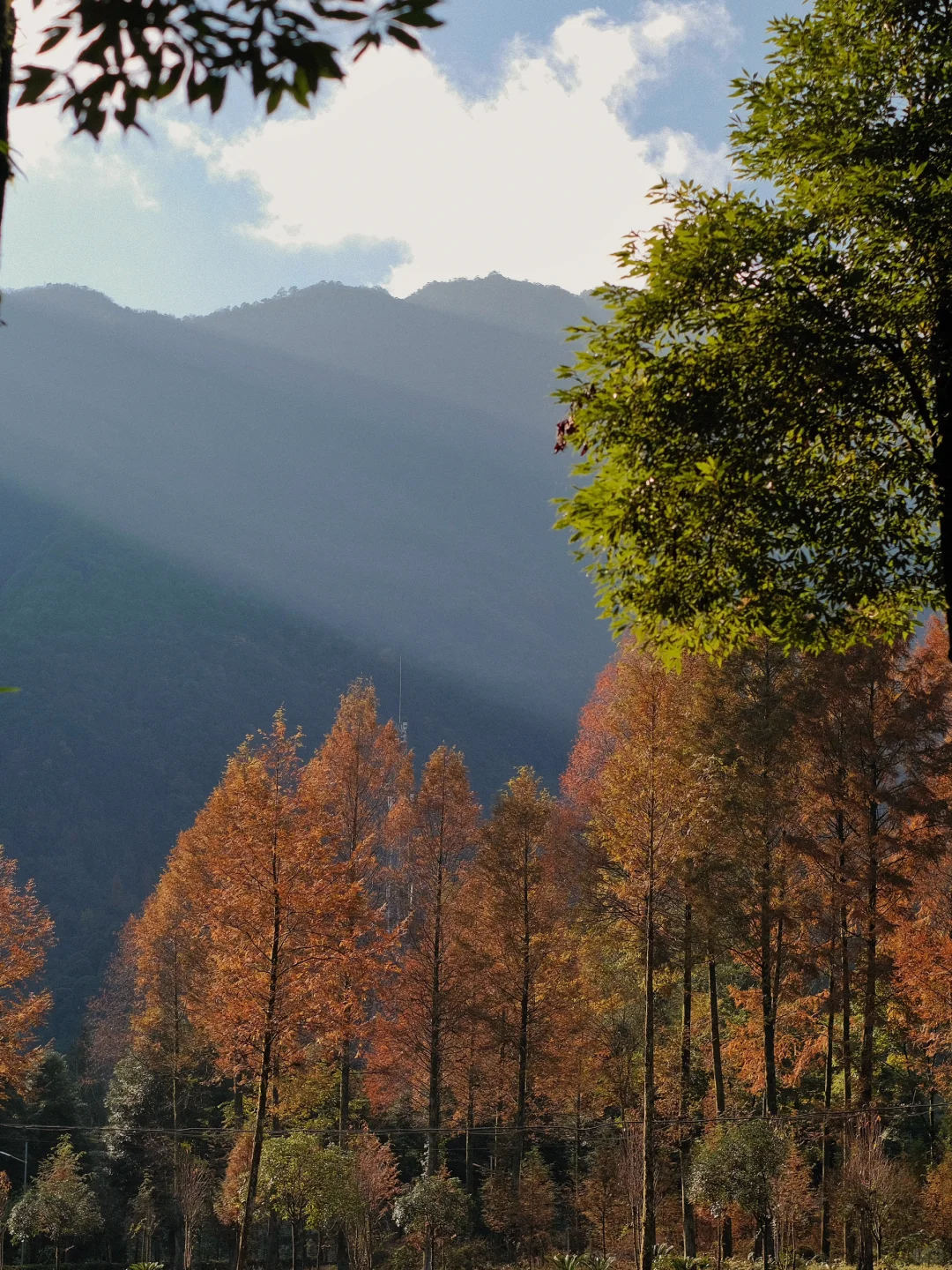 晴天 阴天 都是山野的节奏🎵