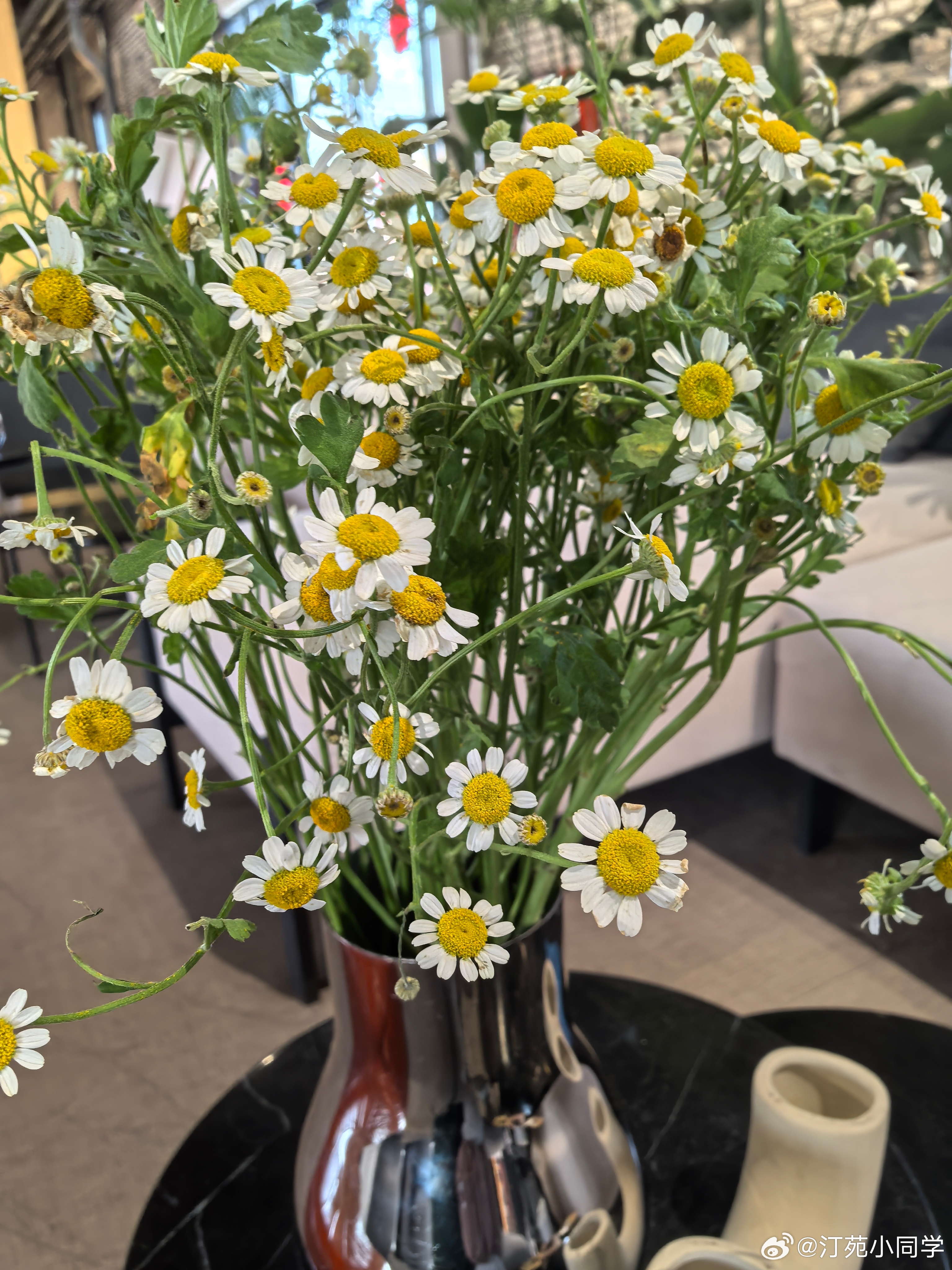 幸福生活中的仪式感 春光正好微风不燥，唯有美景不可辜负。读书的好天气，蹭人家一杯