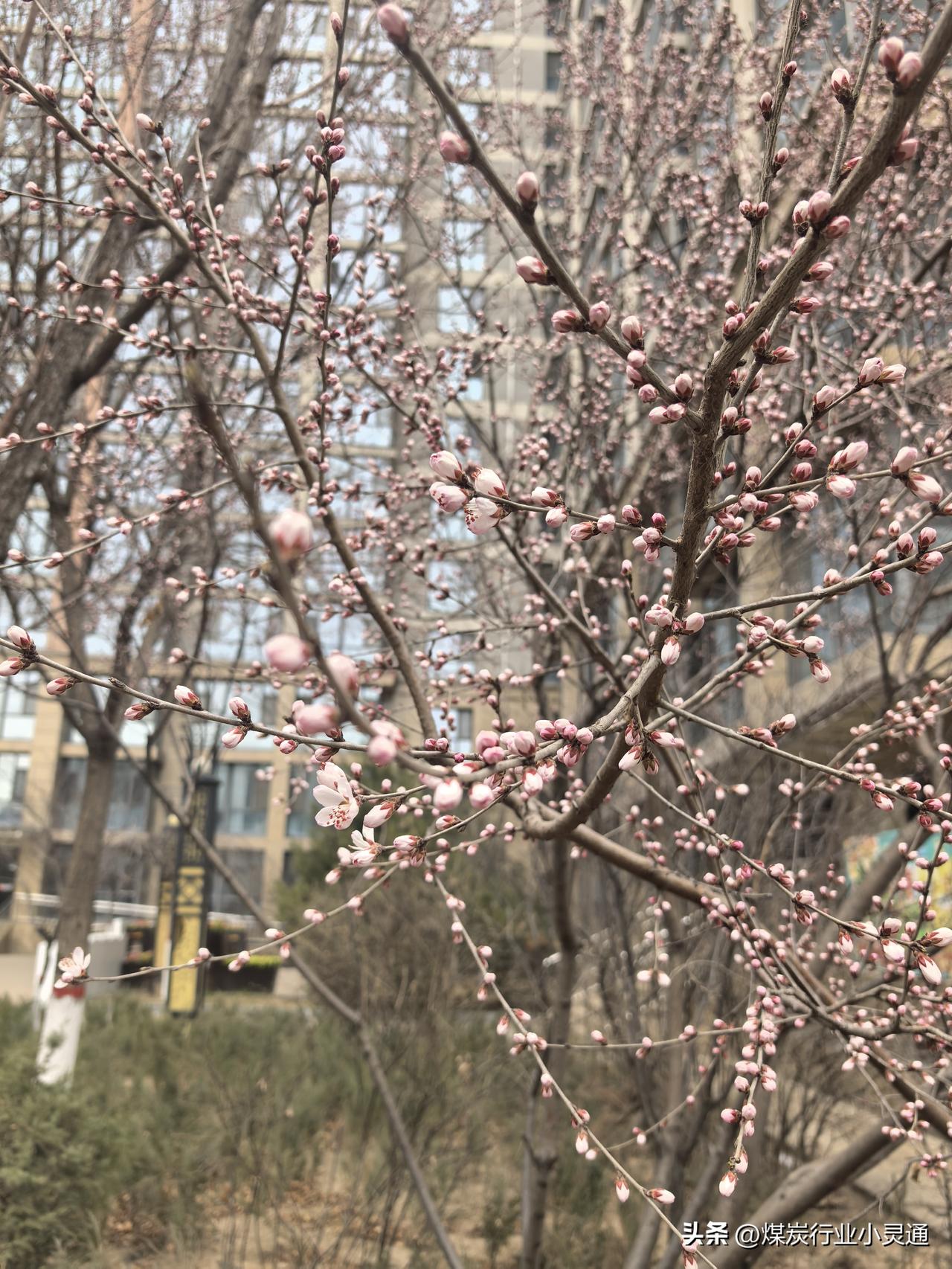 1. 先稳住身体，情绪自然软下来
 
- 睡够、少熬夜，情绪稳定度会直接上升
-