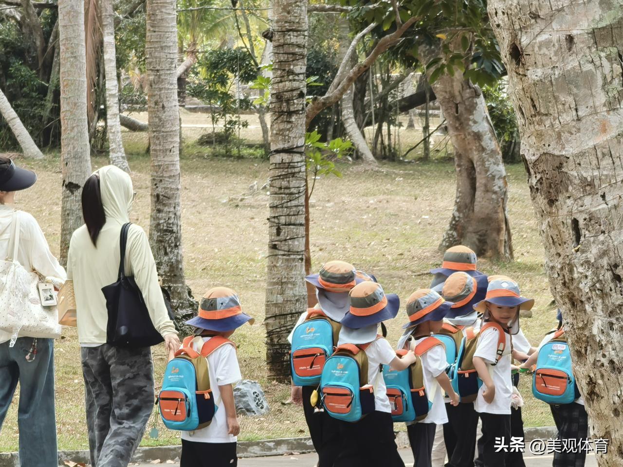 在老师带领下在椰子大观园游玩的幼儿园小朋友