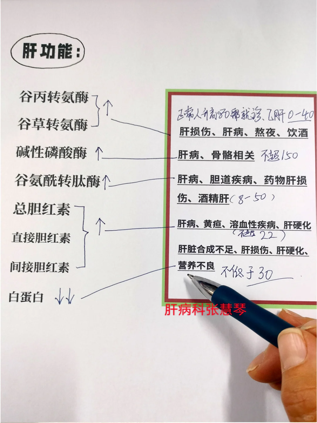 肝功能！肝功能！盯紧这8个指标就没事！