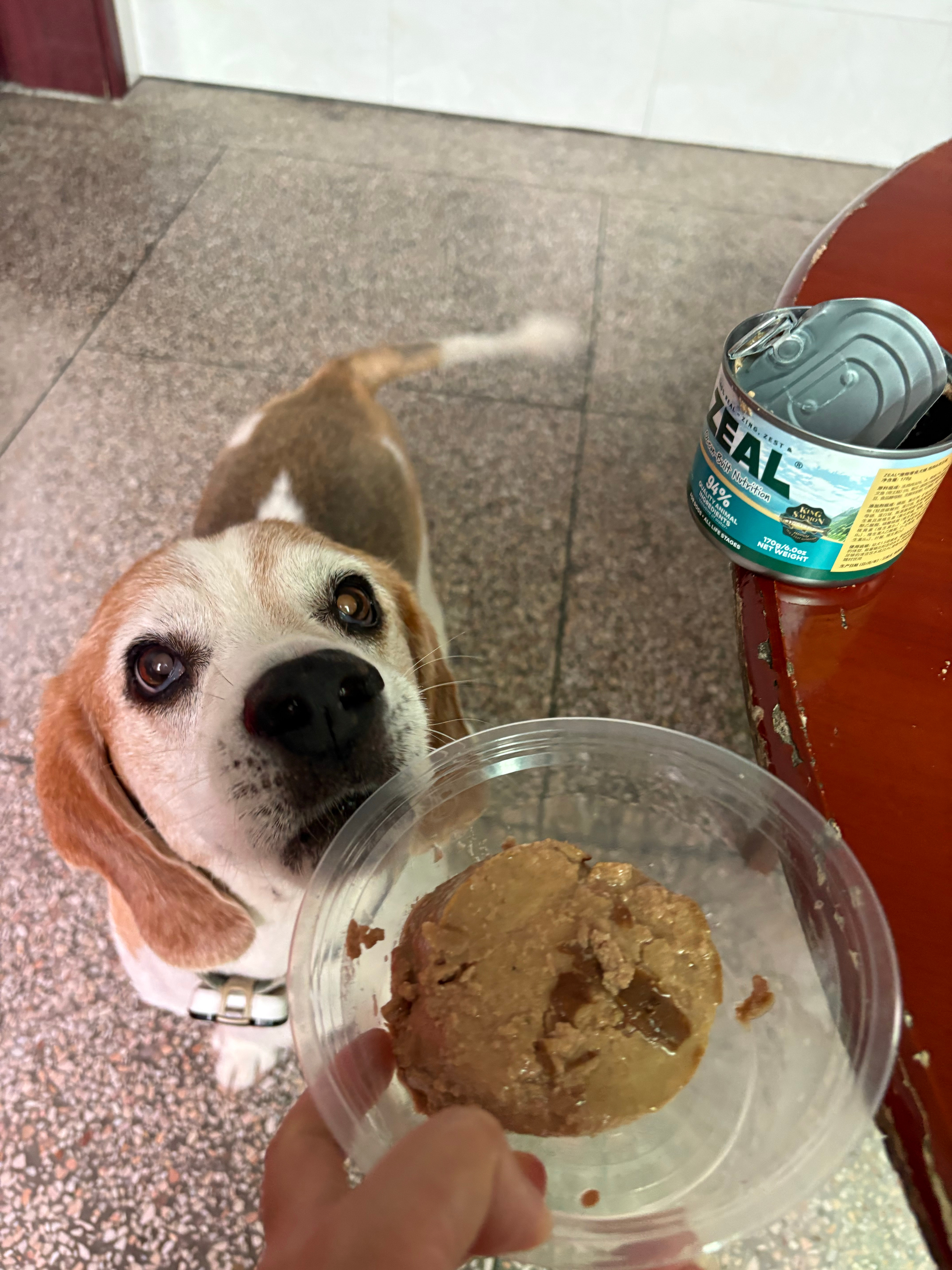 开饭了 