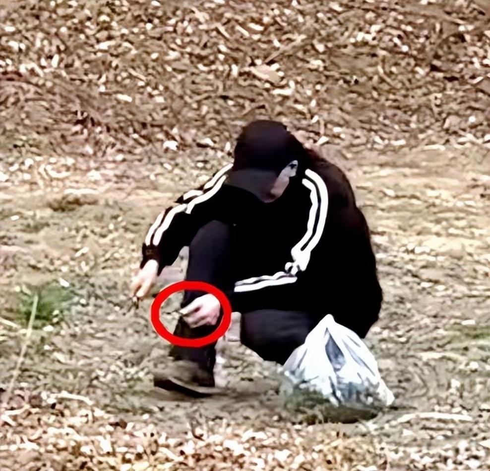 75岁的张艺谋导演近日被偶遇在公园中专注挖野菜。他身着低调的黑色便服，手持小铲，