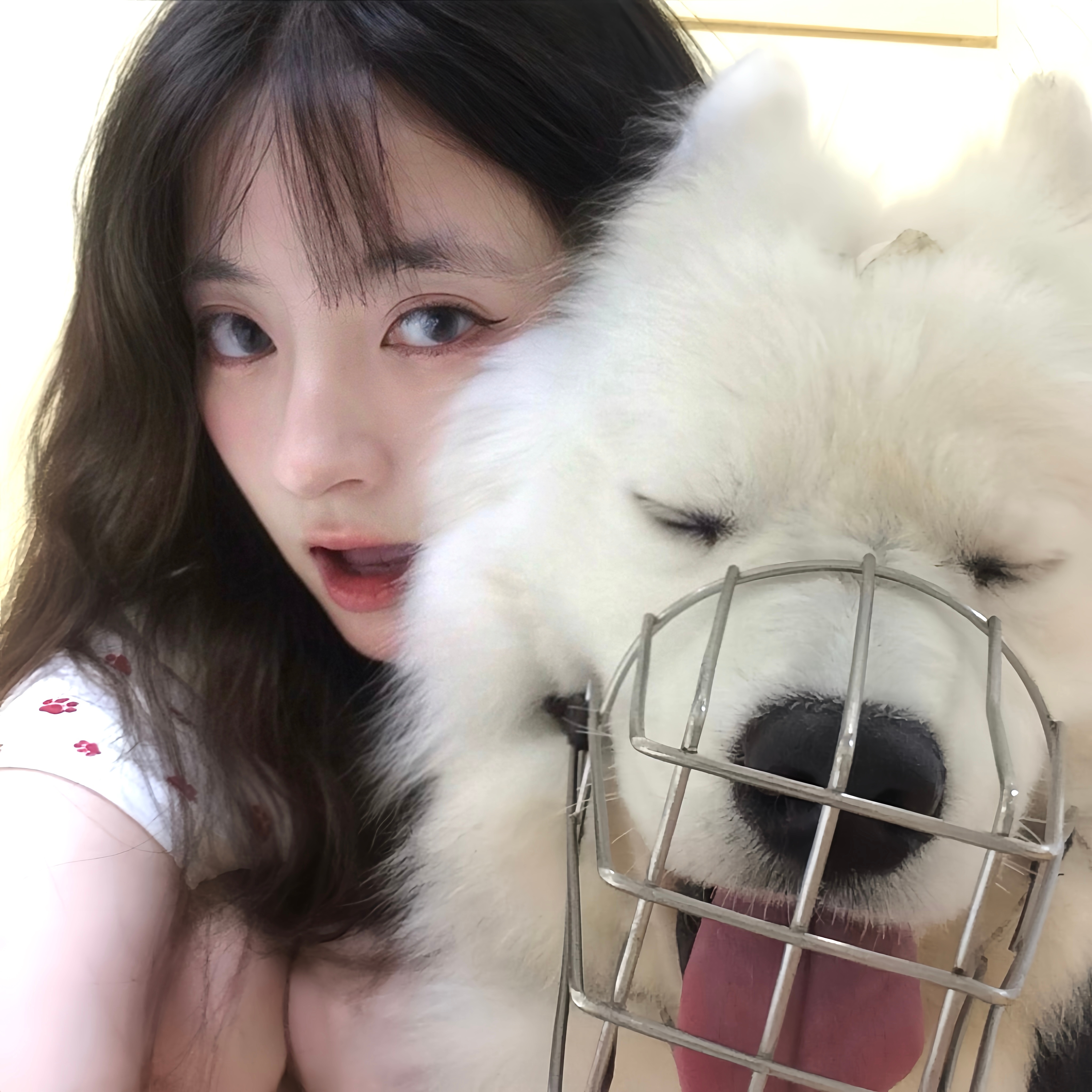 劳模来也 ​​​