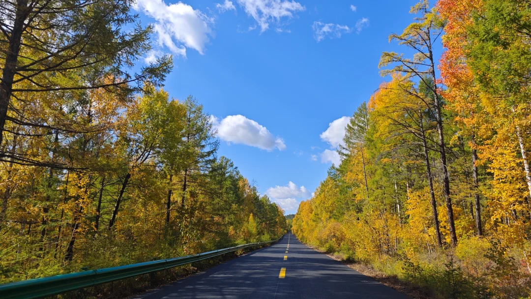 根白线，景美路好车少
