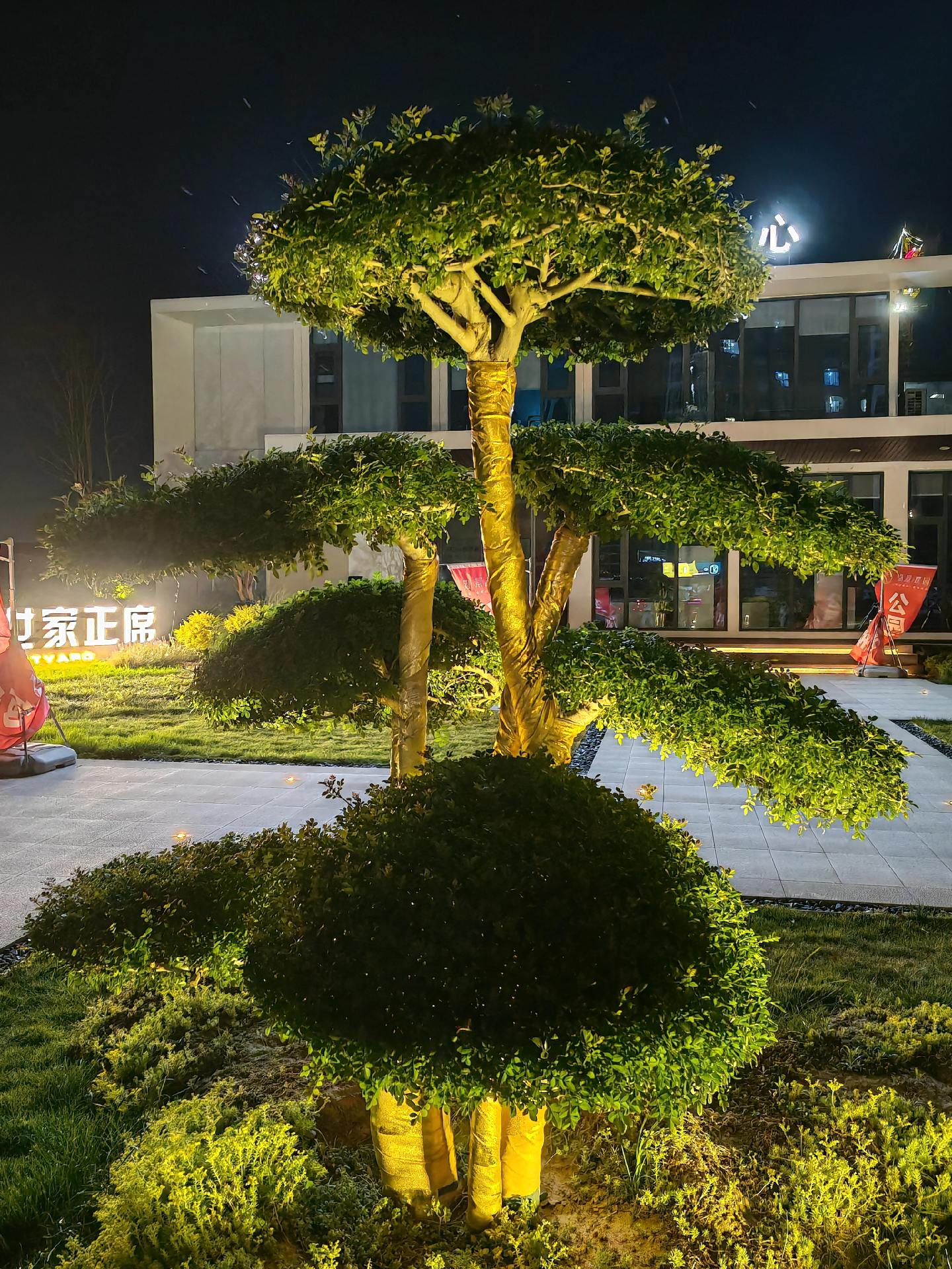 呼吸困难原因。