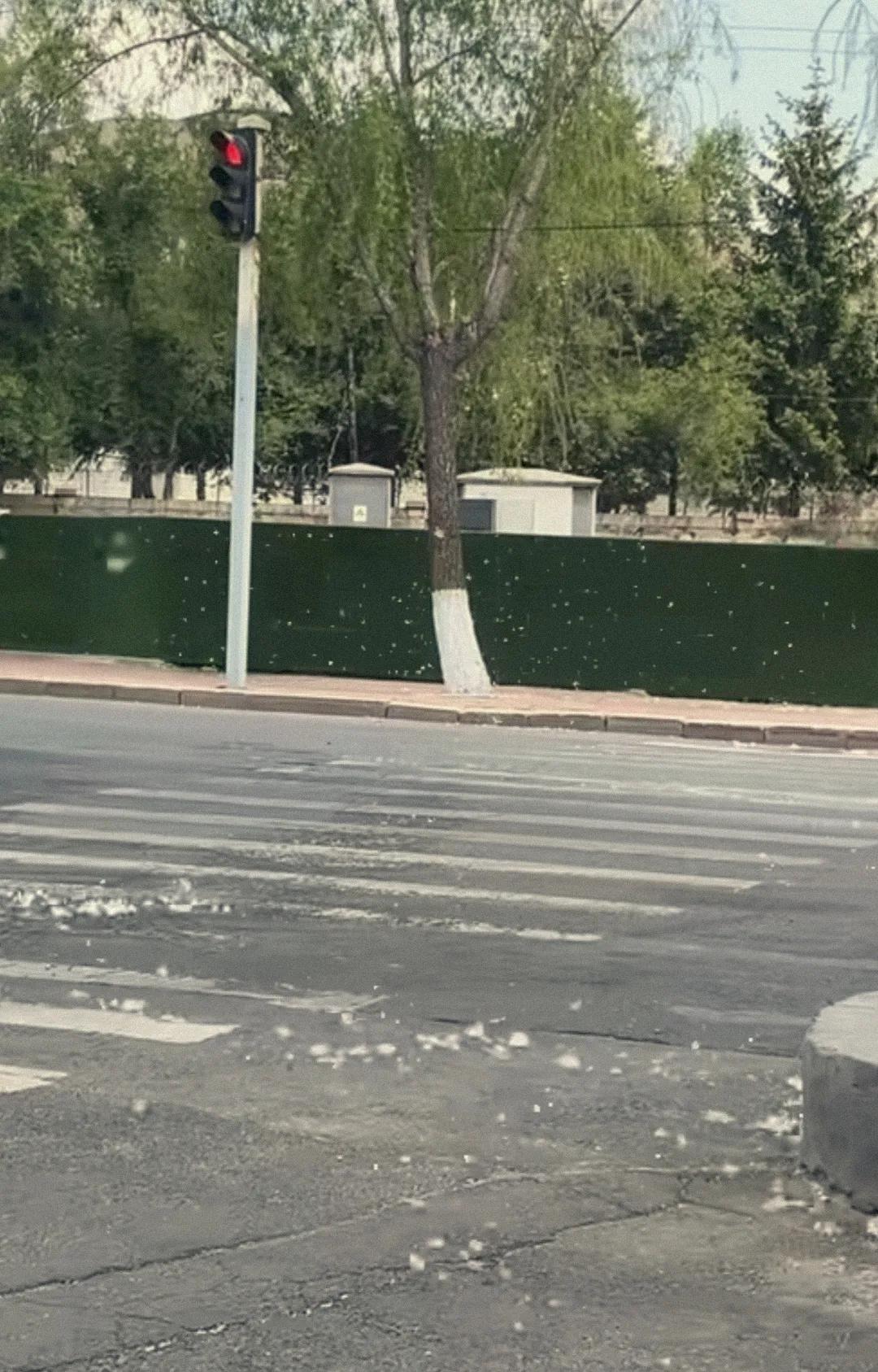 出门在外我感觉北方地区种植的树木跟南方确实有很大的差距，从这方面来看南方确实更宜