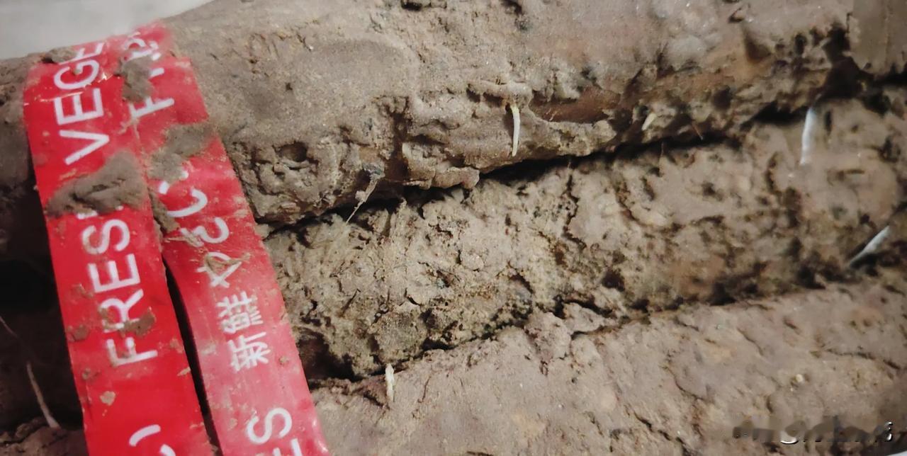 现在我是越来越懒了，前几天网购了一批山药，本来觉得价格跟市场上差不多，反正网购吧