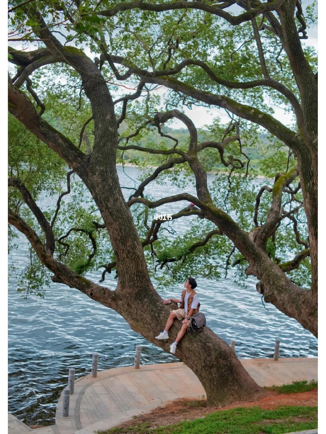 放心来东莞吧！这里比你想象中的美