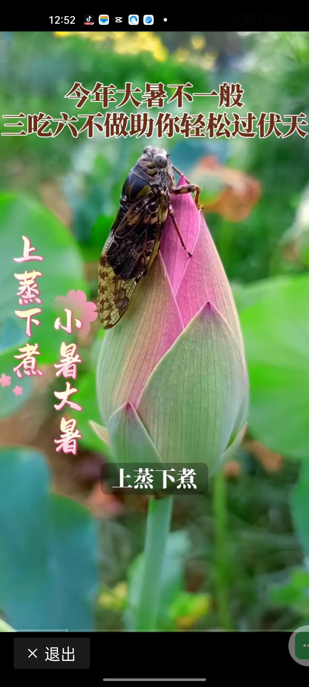 大暑一到，才算真正领教了夏天的“杀招”——走两步浑身冒汗，坐下来闷得心慌，连吹过