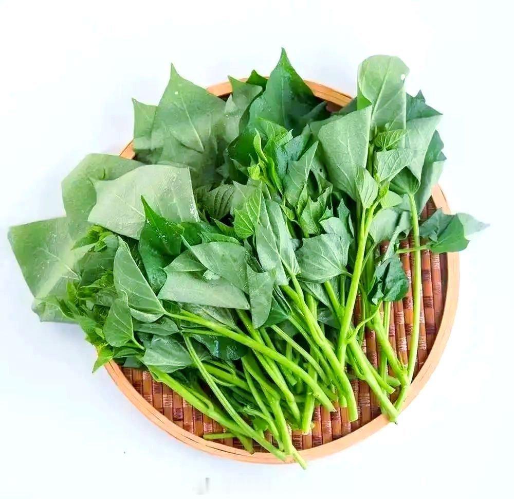 [轻断食]常吃红薯叶延缓衰老---------------------红薯叶的胡