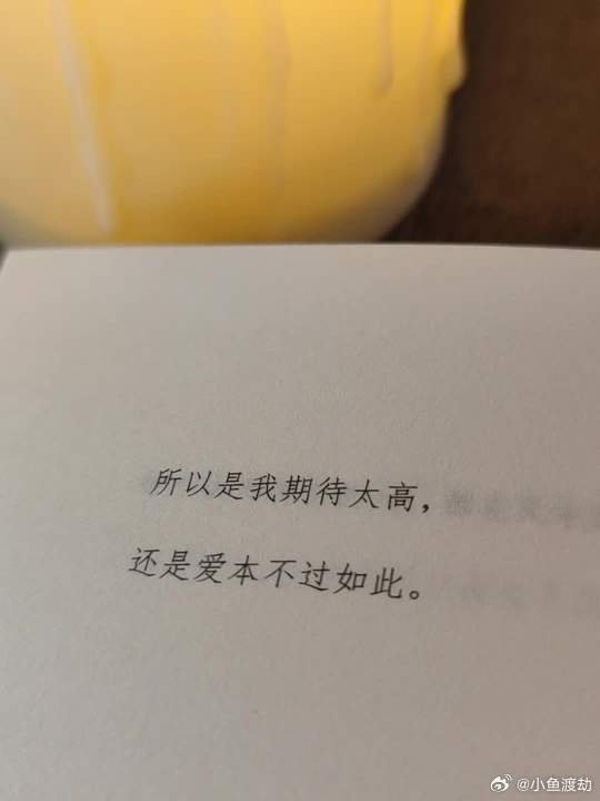 所以是我期待过高，还是爱本不过如此！ 