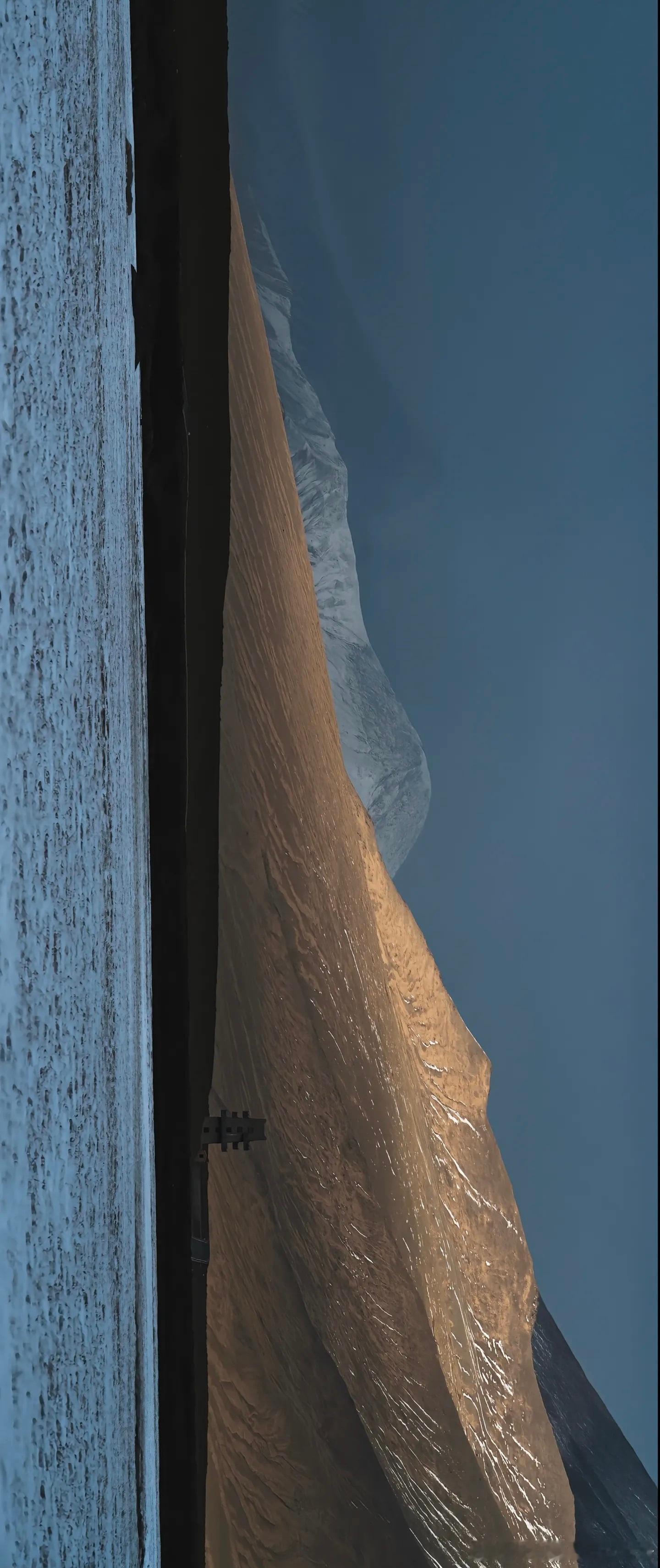 生命树的实景太美了 