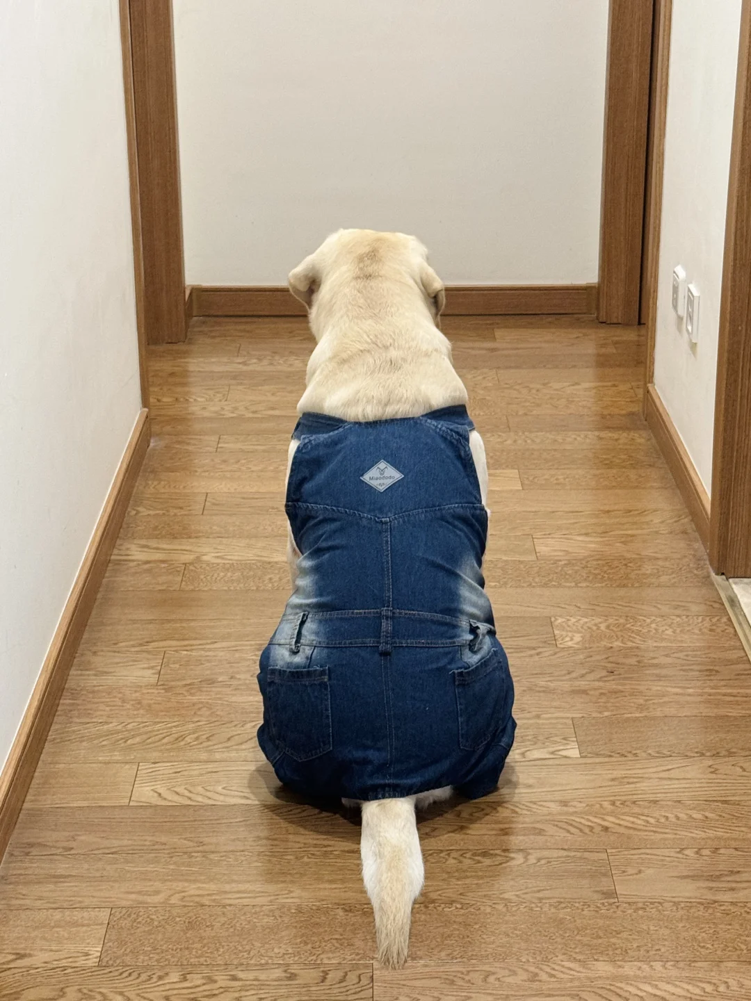 五岁孩子穿这个合适吗