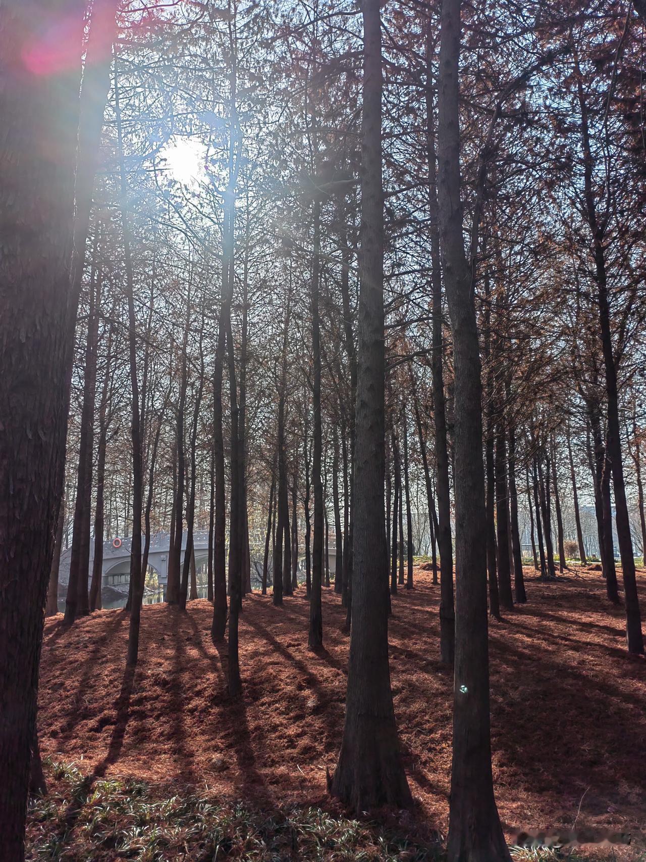 冬日的城市生活


将户外采撷的温暖
与冬日的光影一起打包
塞进穿梭于黑暗的地铁