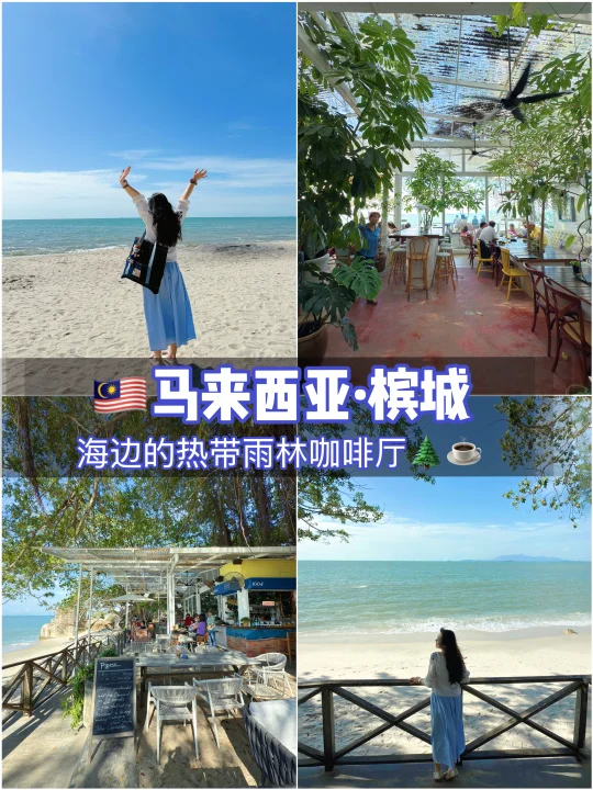 🇲🇾马来西亚·槟城|海边的热带雨林咖啡☕️