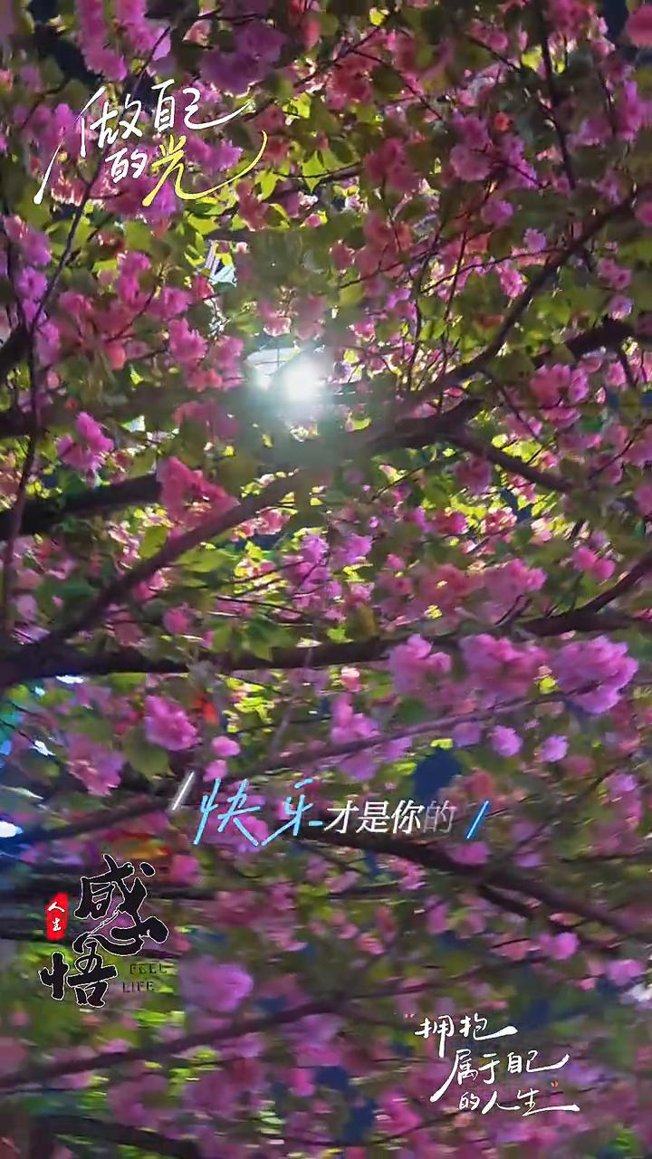 做自己的光。
人生的人生突然属于自己，被这段话治愈了。拥抱世界才是你的心态好，累